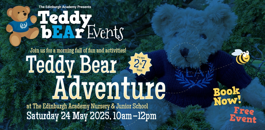 Teddy adventure website