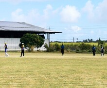 Cricket Barbados gallery5
